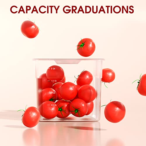 Wantjoin 1/4 Size Plastic Clear Food Pans With Lids，6 Pack 6 Inch Restaurant Food Storage Containers With Handle,Stackable Polycarbonate Hotel Pans #TOP7