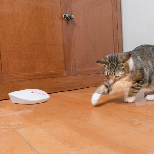 PetSafe Laser Tail Automatisches Laserlicht, Katzenspielzeug mit Laserpointer, Mit 10-Minuten-Timer, 3 AA-Batterien nötig