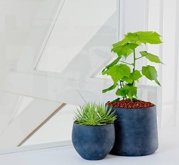 Elegant Black Washed Mini Orb Medium Planter, Charcoal Flower Pot 8" H X 10" W