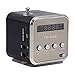 TD V26 Portable Mini Speaker,Mini Speaker Music Player Portable Support TF Card and U Disk,Mini Digital Display Screen Speaker Music Player(Black)
