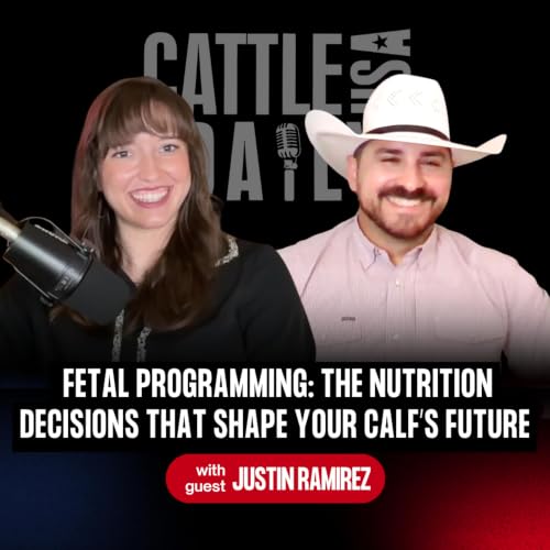 406: Fetal Programming: The Nutrition Decisions That Shape Your Calf&rsquo;s Future with Justin Ramirez
