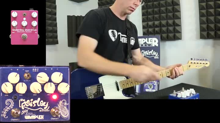 Wampler Paisley Drive Deluxe Dual Overdrive Pedal : Amazon.ca