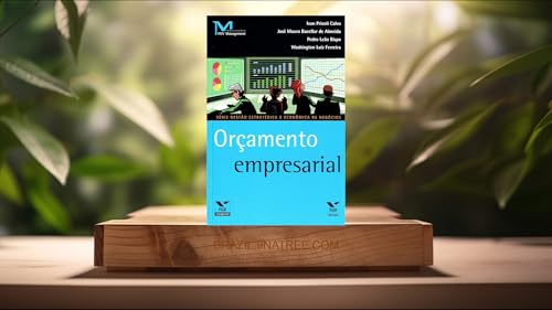 [An&aacute;lises] Or&ccedil;amento Empresarial (Ivan Pricoli Calvo) Resumidos.