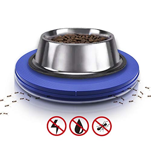 How To Keep Ants Out Of Dog Food Bowl? Canine Net