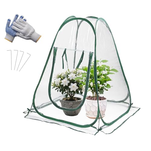 ASOFTY Gewächshaus 70x70x80cm, PVC Überwinterungszelt für Pflanzen mit Bodennägel, Handschuhe und Aufbewahrungstasche, Kleines Treibhaus für Gemüse, Blumen, und Topfpflanzen, Winterschutz Pflanzen