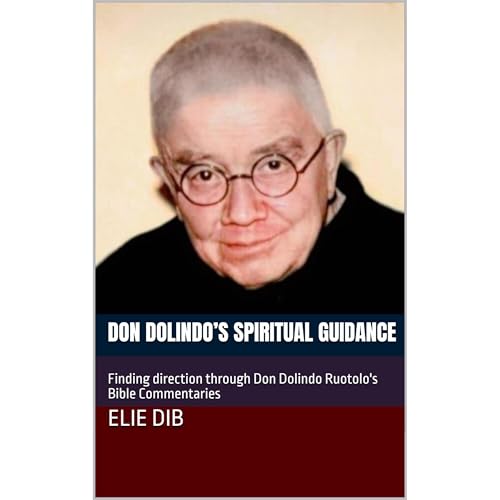 Don Dolindo’s Spiritual Guidance Audiolibro Por Elie Dib arte de portada