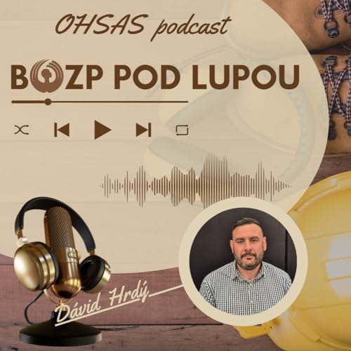 BOZP pod lupou 50_M&yacute;ty a Fakty v BOZP s D&aacute;vidom Hrd&yacute;m
