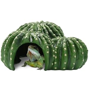 Navaris Reptilien-Versteck Kaktus Terrarium Deko