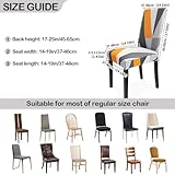 Zindoo B0CPXBJJ2H lato 4