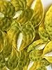 30 PCS Clay Anthurium Fake Flower 1.5 inches for Jewelry Making DIY Craft Supplies (Yellow-Green) #1