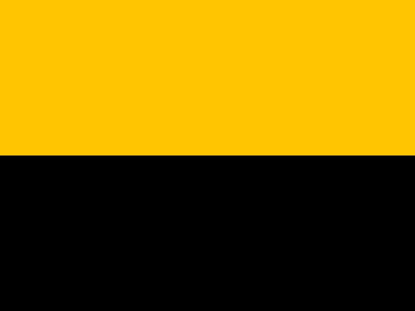 Drapeau Large Vitesse Arnhem grand format paysage pour les supporters du club