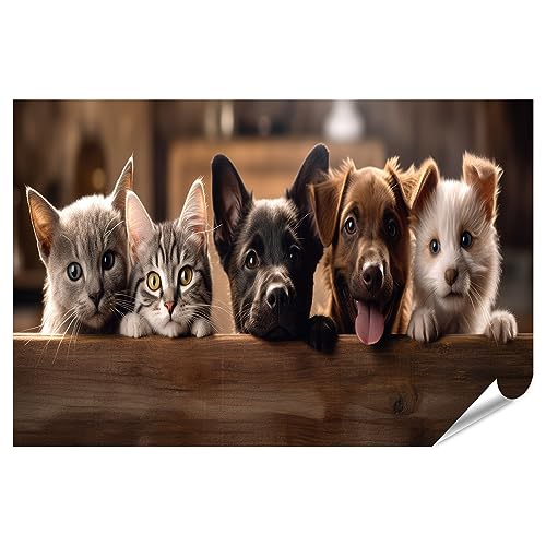 islandburner Poster XXL Motif chiens et chats heureux sur cadre en bois transparent dans une bannière Petshop
