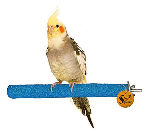 Sage Square Natural Habitat Wooden Sand Perch/Stand/Toy for Birds (Light Weight) (Size - 6")