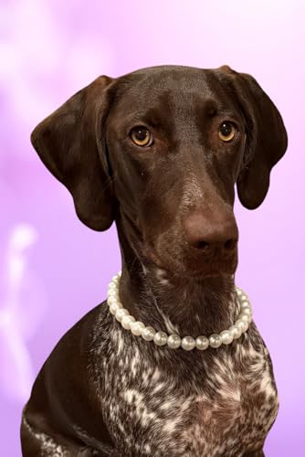 GSP Notebook: German Shorthaired Pointer Puppy Notebook, Dog Journal