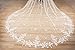 EllieWely Long 2 Tier Lace Wedding Bridal Veil Cathedral Length F02 3 M White