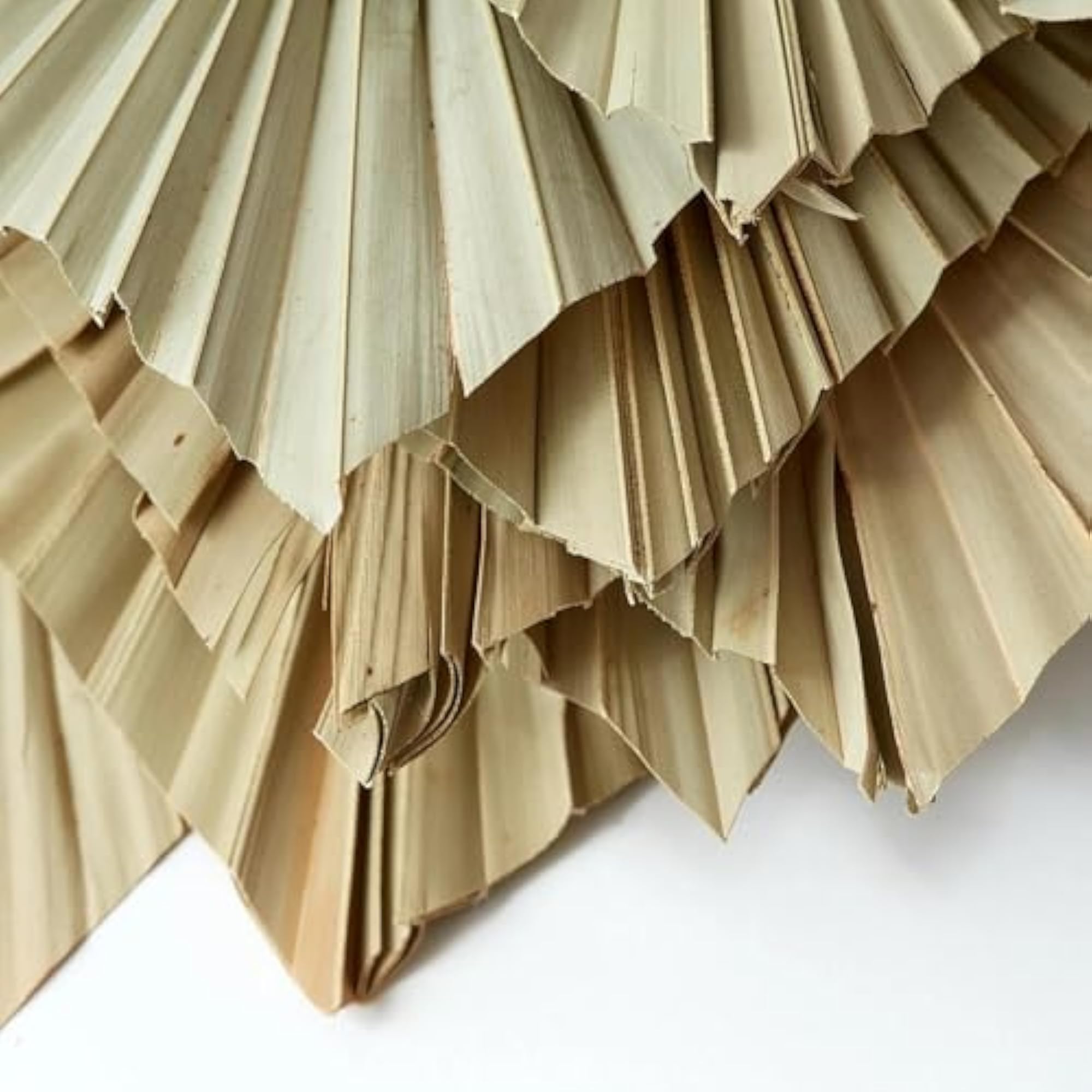 Dried Palm Leaves Spear with Stem for Boho Decor