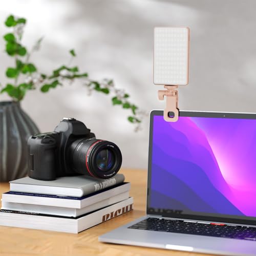 Lampe photo portable Walmeck rose à luminosité réglable 12W
