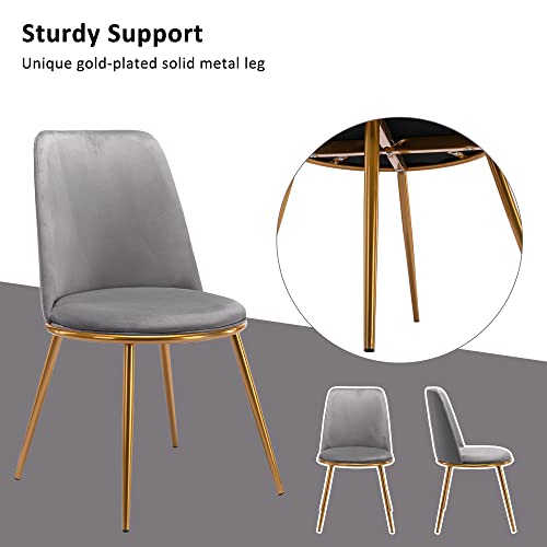 Dks Dining Chairs With Gold Metal Legs, Mid Century Modern Velvet Dining Chairs, Mid-Back Upholstered Comfortable Kitchen Chairs, Luxury Accent Chairs For Living Room, Bedroom, Kitchen & Dining Room #TOP3