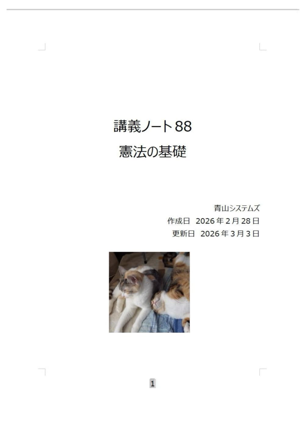 憲法の基礎 (講義)