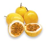 50 FRESH SEEDS THAI PASSION FRUIT