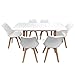 Happy Garden Ensemble Table Extensible 120/160cm Helga et 6 chaises Nora Blanc