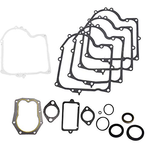 Joints d'étanchéité 494241 pour moteur Briggs & Stratton WFLNHB pièces