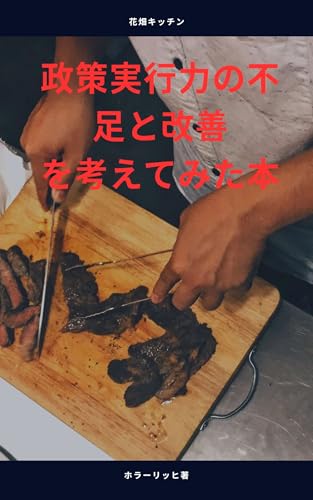 政策実行力の不足と改善を考えてみた本 スキマ時間で読む