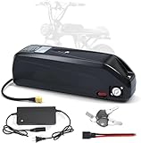 SHEWAIHE 48V 25 Ah Hailong Electric Bicycle Battery, 25 Ah Lithium Battery, Suitable for 100-1500W Motors, Electric Bicycle Battery, Suitable for Electric Bicycle Replacement or Modification