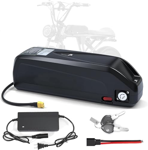SHEWAIHE 48V 25 Ah Hailong Electric Bicycle Battery, 25 Ah