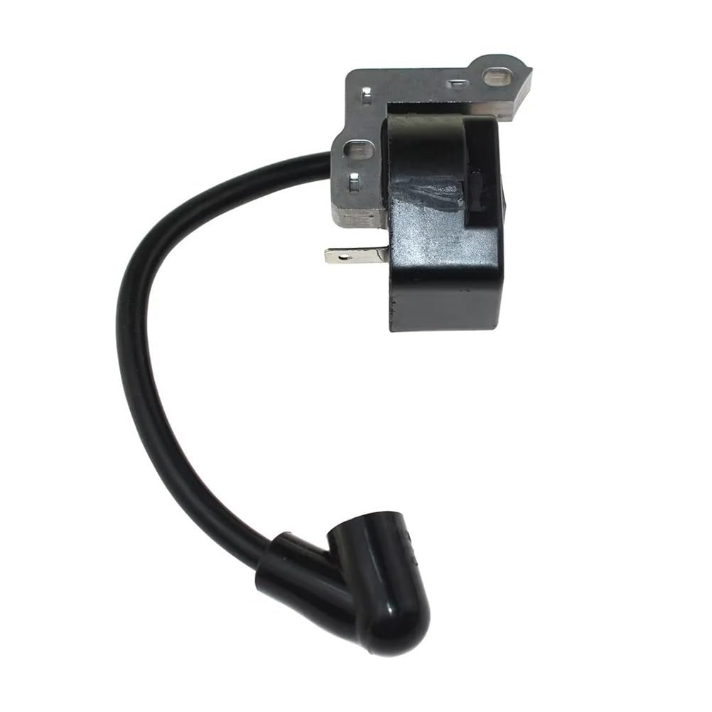 Module d'allumage RY30550 pour l'entretien serein de votre jardin