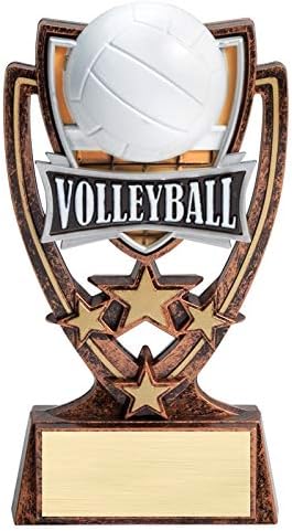Express Medals (1-3-5 Pack) of 6 Inch 4 Star Volleyball Trophy Award with Engraved Personalized Plate