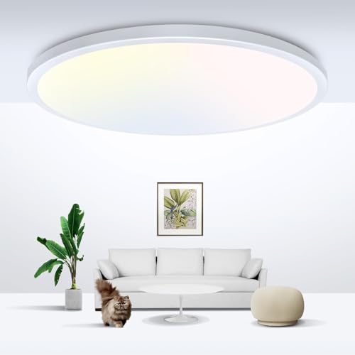 zemty LED Ceiling Light Flush Mount Super Slim 9 Inch 24W 2400lm Ceiling Lights with 3 Color Temperature in One 3000k/4500k/6000K - Round Flat Light Fixture for Kitchen Hallway (1Pack, White)