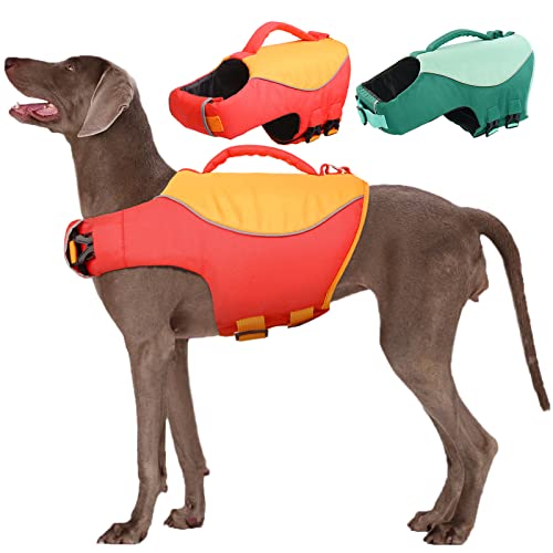 Dog Float Vest The 15 best products compared Wild Explained