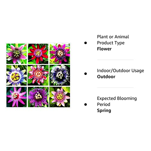 99Roadsgarden Passion Flower Seeds Mixed Color 50+ Passion Fruit Seeds - Vine Perennial Flower Seeds #TOP6