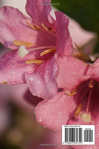 Weigela: Weigela notebook blank pages - Journal to write in - 120 pages - 6"x9" - Image 2