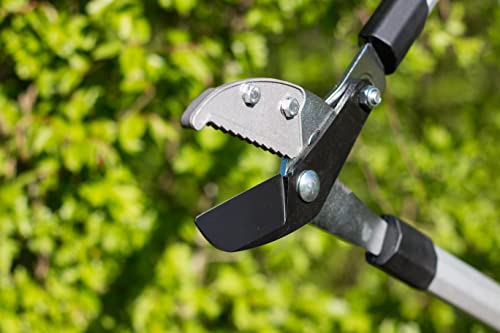 Meister Astschere mit Amboss-Klinge - 2