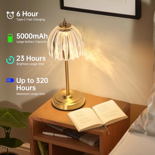 Image of Shenmoyl Set of 2 Tulip Table Lamp with 5000mAh Battery & Touch Control, Cordless Table Lamp with 3 Colors, Dimmable Rechargeable Table Lamps for Bedroom, Living Room, Entryways (Transparent Tulip)