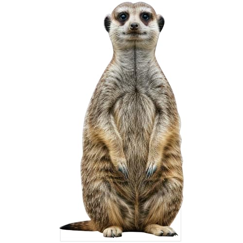 Image of Meerkat1 Life Size Cardboard Cutout, 4FT, Party Decor, 1 PC | Cardboard Meerkat1 Animal Standup for Events, Birthday, Photos, Holiday, Wedding, Party, School Events