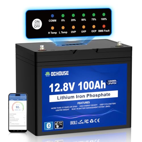 DC HOUSE 12V 100Ah Cold-Resistant Battery