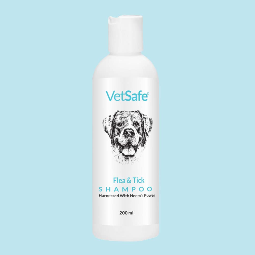 VetSafe Tick and Flea Control Shampoo 200 ml for Dog, Cat & Horse Shampoo for All Breeds | Bling On The Shine Nourishing Dry Waterless | Removes Dirt, Grime & Oil (B0BVYYWTCP) Amazon Price History, Amazon Price Tracker