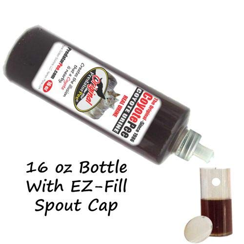 PredatorPee 100% Coyote Urine EZ Fill Squeeze Cap Bottle with 33 Day Dispensers, Territorial Marking Scent for Outdoor Use, Creates Predator Presence Illusion for Deer Raccoons Groundhogs Rats, 16 Oz