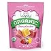 ORGANIC Chewy Candies - Lovely Co. 5oz Bag - Strawberry, Lemon & Cherry Flavors | NO HFCS, GLUTEN or Fake Ingredients, 100% VEGAN & Kosher!
