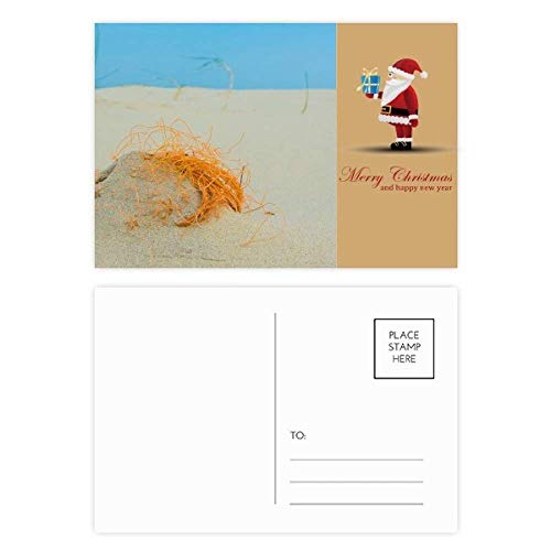 Cartes postales Père Noël Ocean Sand Beach pour vœux ensoleillés (Lot de 20)