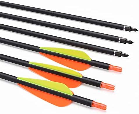 Carbon Arrow Hunting Arrows with 100 Grain Tip and Removable Tips for Archery Compound & Recurve & Traditional Bow Practice Shooting Targeting Carbon Arrow Hunting Arrows with 100 Grain Tip and Removable Tips for Archery Compound & Recurve & Traditional Bow Practice Shooting Targeting