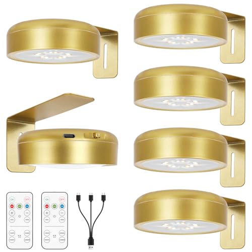 6Pack-Recharge Battery Wall Picture Light with Remote for Painting Gallery Photo Frame Dartboard Portrait Poster,Dimmable Art Display LED Light Indoor Magnetic Mount,3 Lighting & Timer auot-OFF