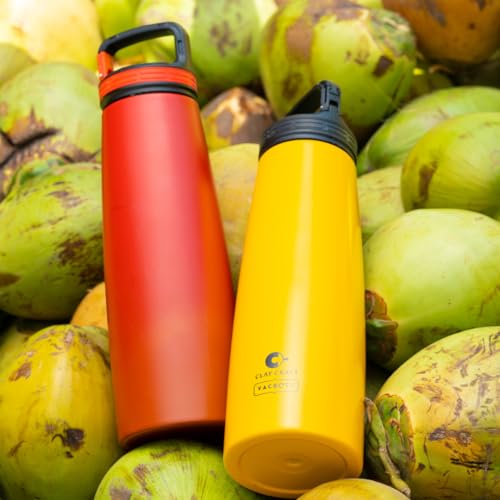 Image of CLAY CRAFT VACBOTT Harriet Swag Double Walled|18 Hours Hot and 24 Hours Cold Water Bottle Vacuum Insulated Flask|Thrmosteel Bottle|1000ML, Water Bottle|BPA-Free|BIS Certified|1Year Limited Warranty