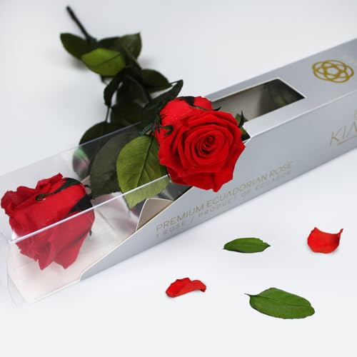 Rosa Eterna Preservada de Color Rojo Vibrante con Tallo 55cm Mujer,Mamá,Novia,Abuela- Flores Infinita para Cumpleaños,San Valentín,Día de la Madre, Rosas Preservadas de Ecuador
