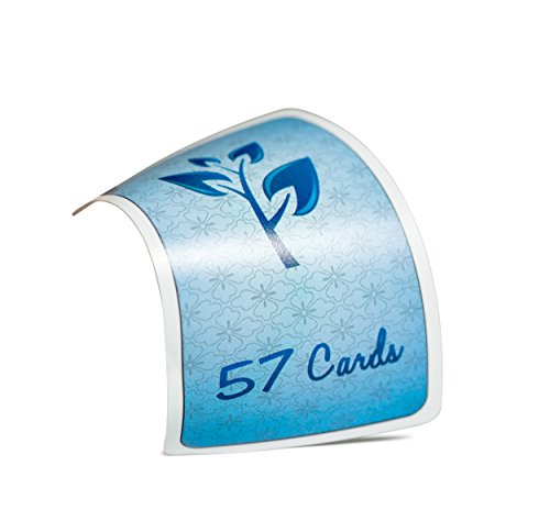 Cartas de plástico variedad 4 pack miniatura 3