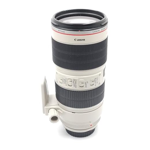 Canon EF 70-200mm f/2.8L Telephoto Lens
