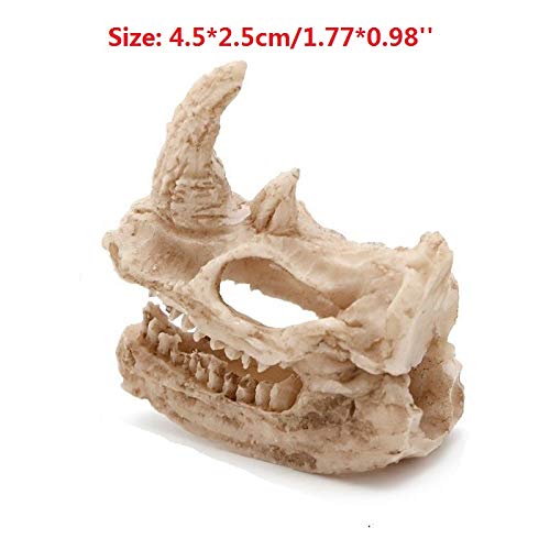 Driak 3pc Resin Rhino Skull Rhino Decor Aquarium Decoration Fish Tank Decorations Reptile Fish Tank Terrarium Decor Reptile Hide Fish Hideout Aquarium Decor